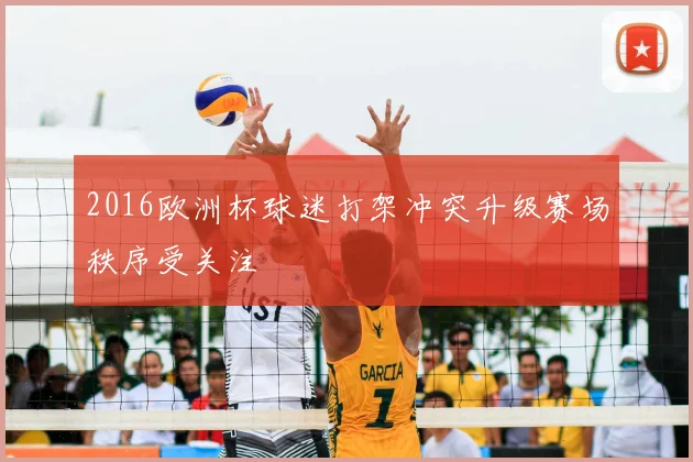 2016欧洲杯球迷打架冲突升级赛场秩序受关注