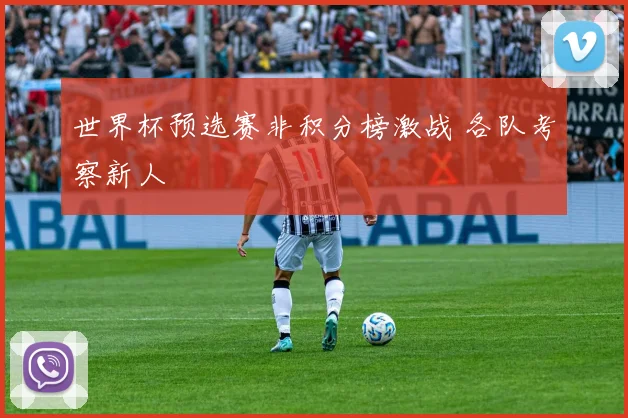 世界杯预选赛非积分榜激战 各队考察新人