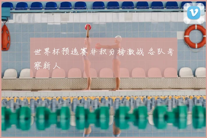 世界杯预选赛非积分榜激战 各队考察新人