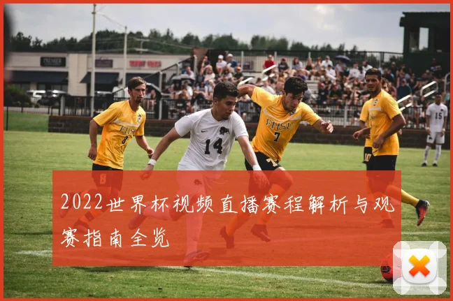 2022世界杯视频直播赛程解析与观赛指南全览