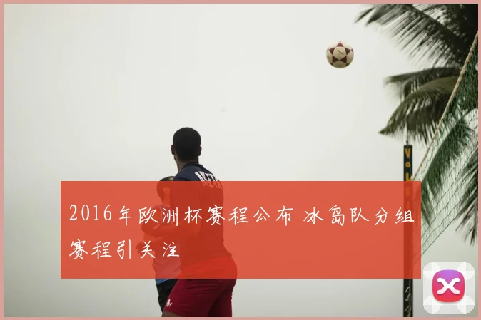 2016年欧洲杯赛程公布 冰岛队分组赛程引关注