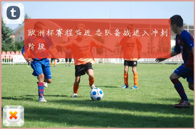 欧洲杯赛程临近 各队备战进入冲刺阶段
